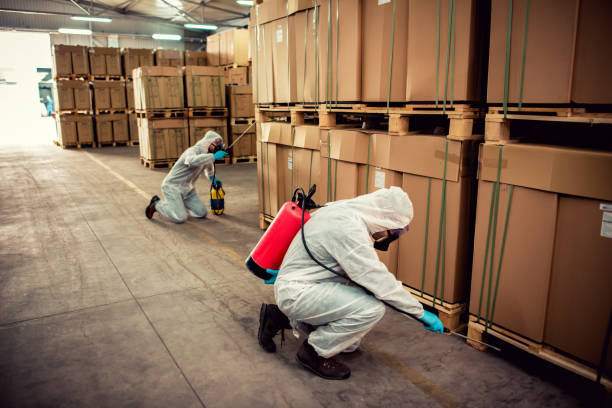 Best Pest Removal Services  in Clay City, IN