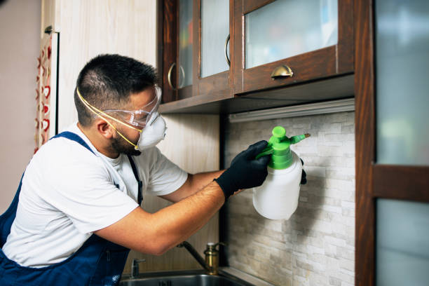 Best Wildlife Control Services  in Clay City, IN