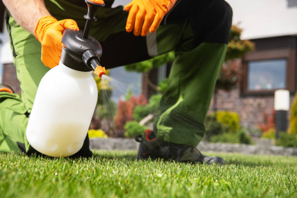 Best Emergency Pest Control  in Clay City, IN