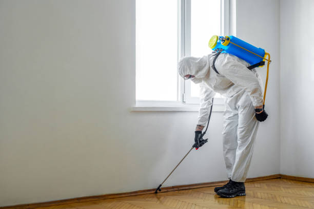 Wasp Removal Services in Clay City, IN