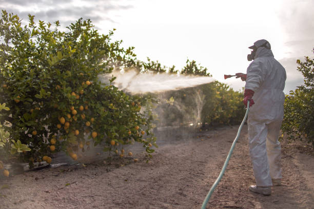 Best Affordable Pest Control Services  in Clay City, IN