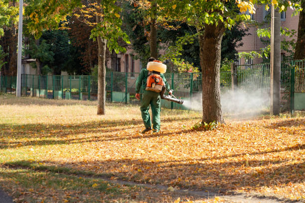 Best Residential Pest Control  in Clay City, IN