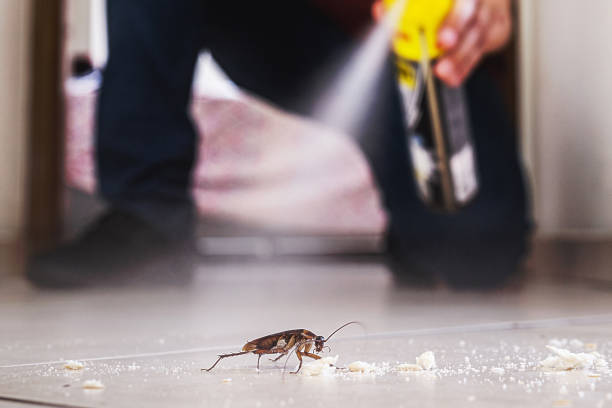 Wildlife Control Services in Clay City, IN