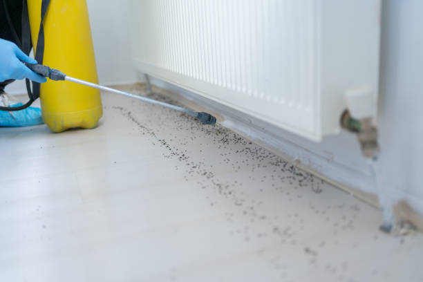 Reliable Clay City, IN Pest Control Solutions